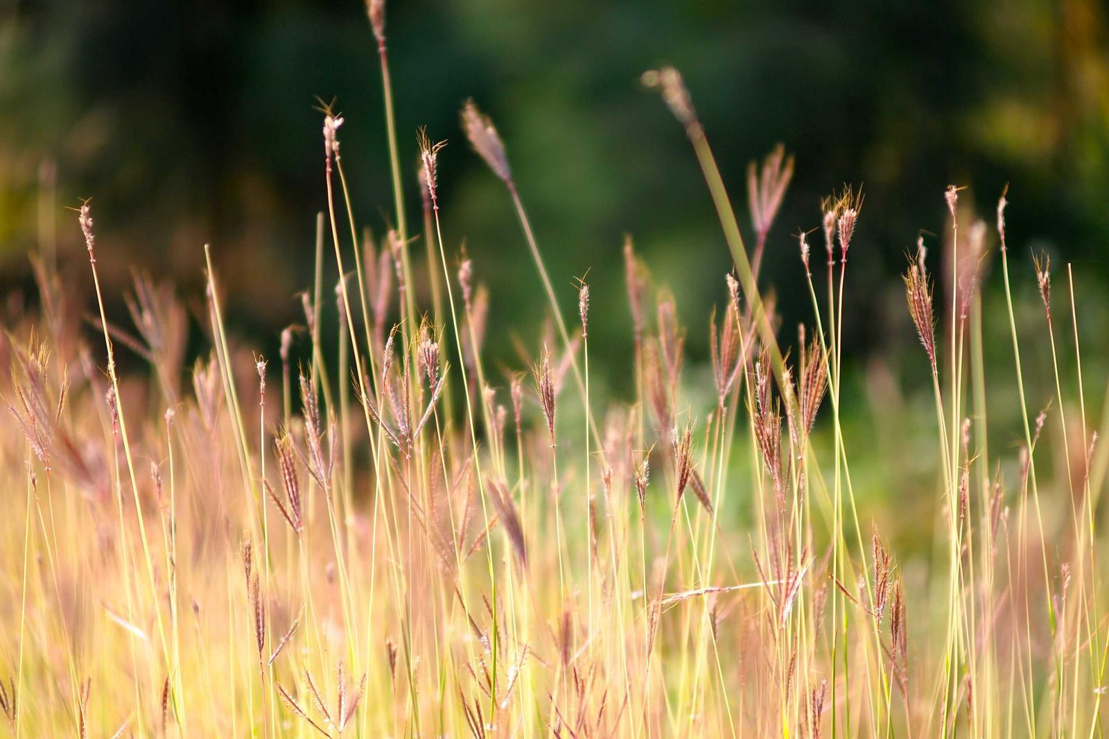 Growth hacking through conversion rate optimization