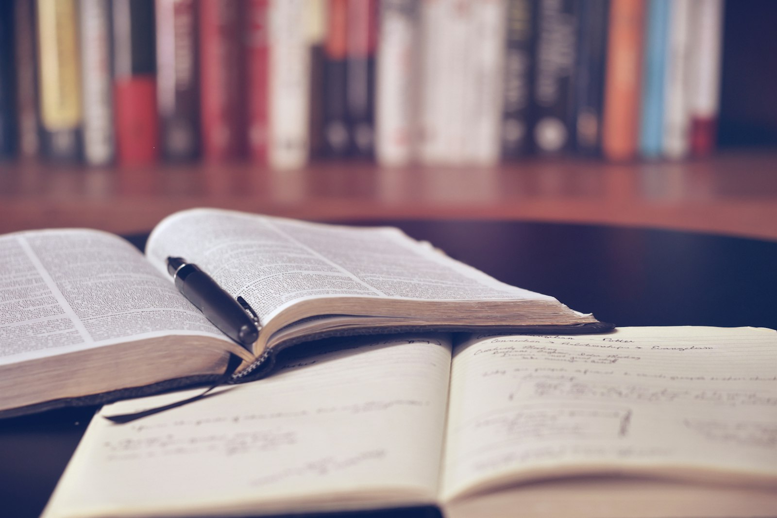 How UTM tags can help you better understand your audience